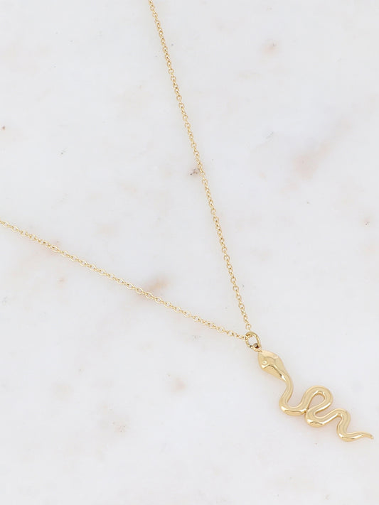 Collier Snake