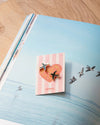 Pin's - Swallow duo
