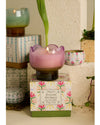 Bougie Tulip - Bronzed Gardenia