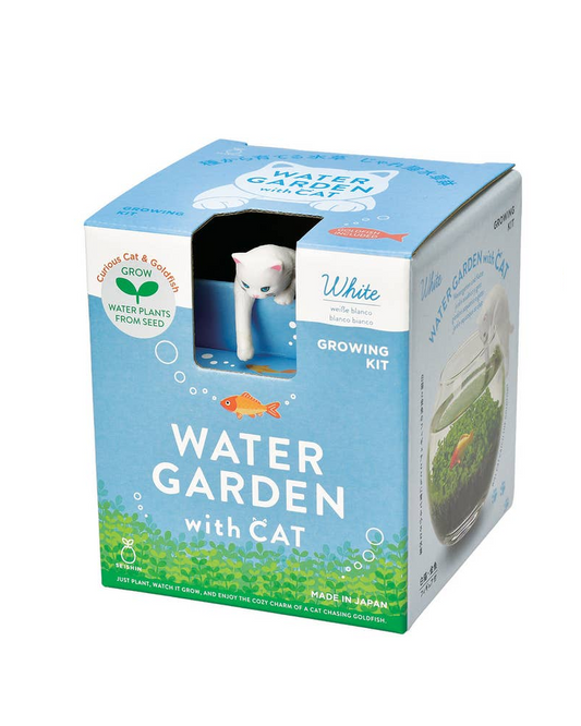 Water garden with cat