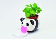 Peropon Panda - basilic