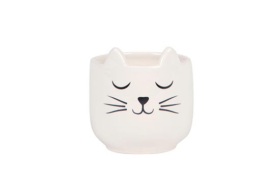 Mini cache pot Chat