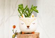 Mini cache pot Fox