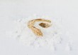 Bague Delphi