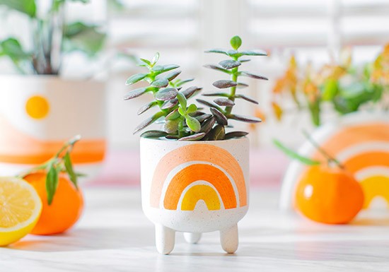 Mini Cache Pot Rainbow La Boutique De Louise