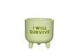 Mini cache pot I will survive