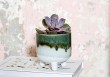 Mini pot Mojave - Vert