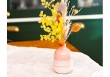Mini vase Mojave - Rose