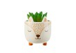 Mini cache pot Fox