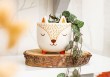 Mini cache pot Fox