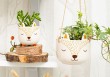 Mini cache pot Fox