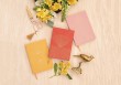 Cahier rose - Radiant rainbow