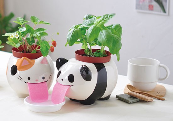 Papa Peropon Panda - basilic