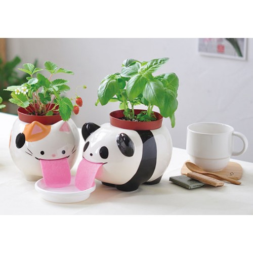 Papa Peropon Panda - basilic