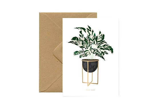 Carte postale Calathea plant