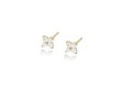 Boucles d'oreilles Daffodil Post (coloris au choix)