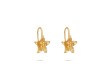 Boucles d'oreilles Blossom