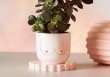 Mini pot Boobies