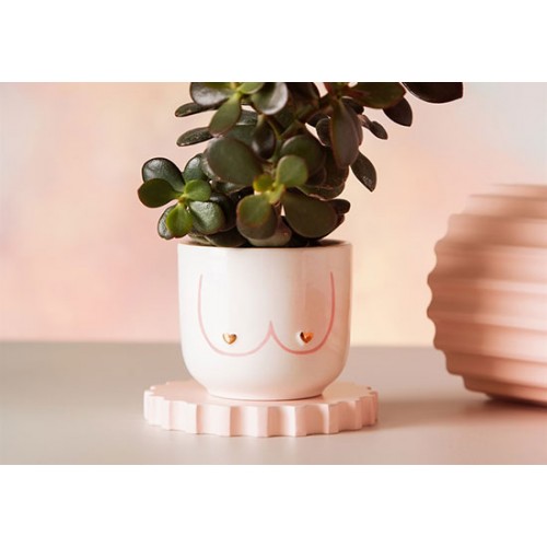 Mini pot Boobies