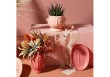 Vase Matt rose
