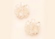 Boucles d'oreilles Iris post