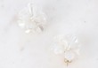 Boucles d'oreilles Iris post