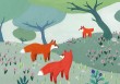 Petit carnet - La forêt des renards