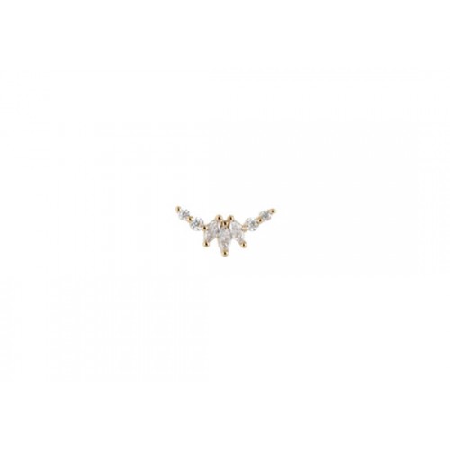 Puce d'oreille Canillo blanc