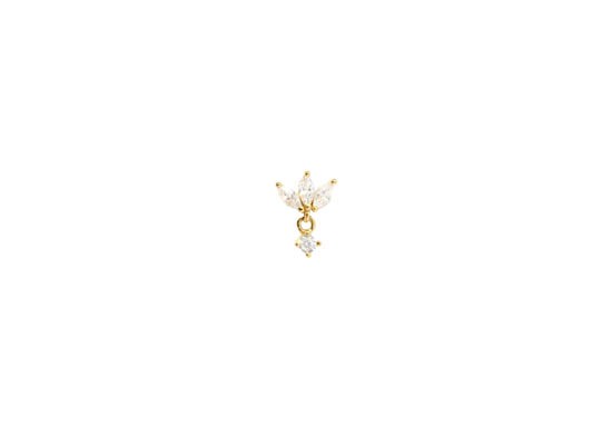 Puce d'oreille Ottawa blanc