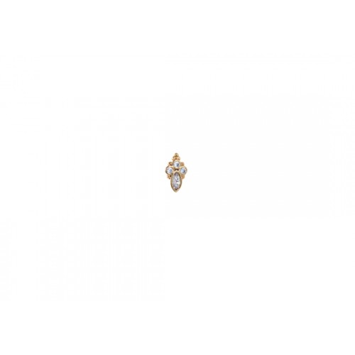 Puce d'oreille Lewes blanc