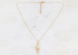 Collier Snake