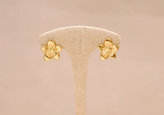 Boucles d'oreilles Moea