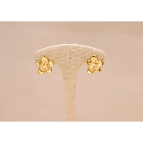 Boucles d'oreilles Moea