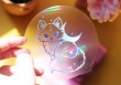 Sticker Suncatcher "Renard astral" - Créateur d'Arc-en-Ciel