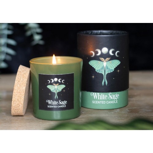 Bougie Luna Moth