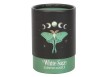 Bougie Luna Moth