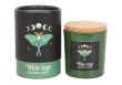 Bougie Luna Moth