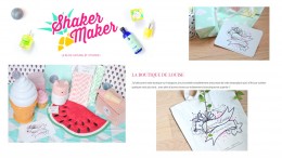 Blog Shaker maker